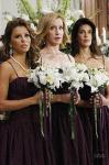 Desperate Wousewives